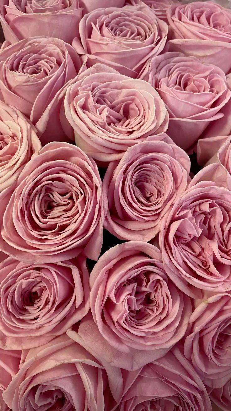 Twilight's Last Gleaming Florals